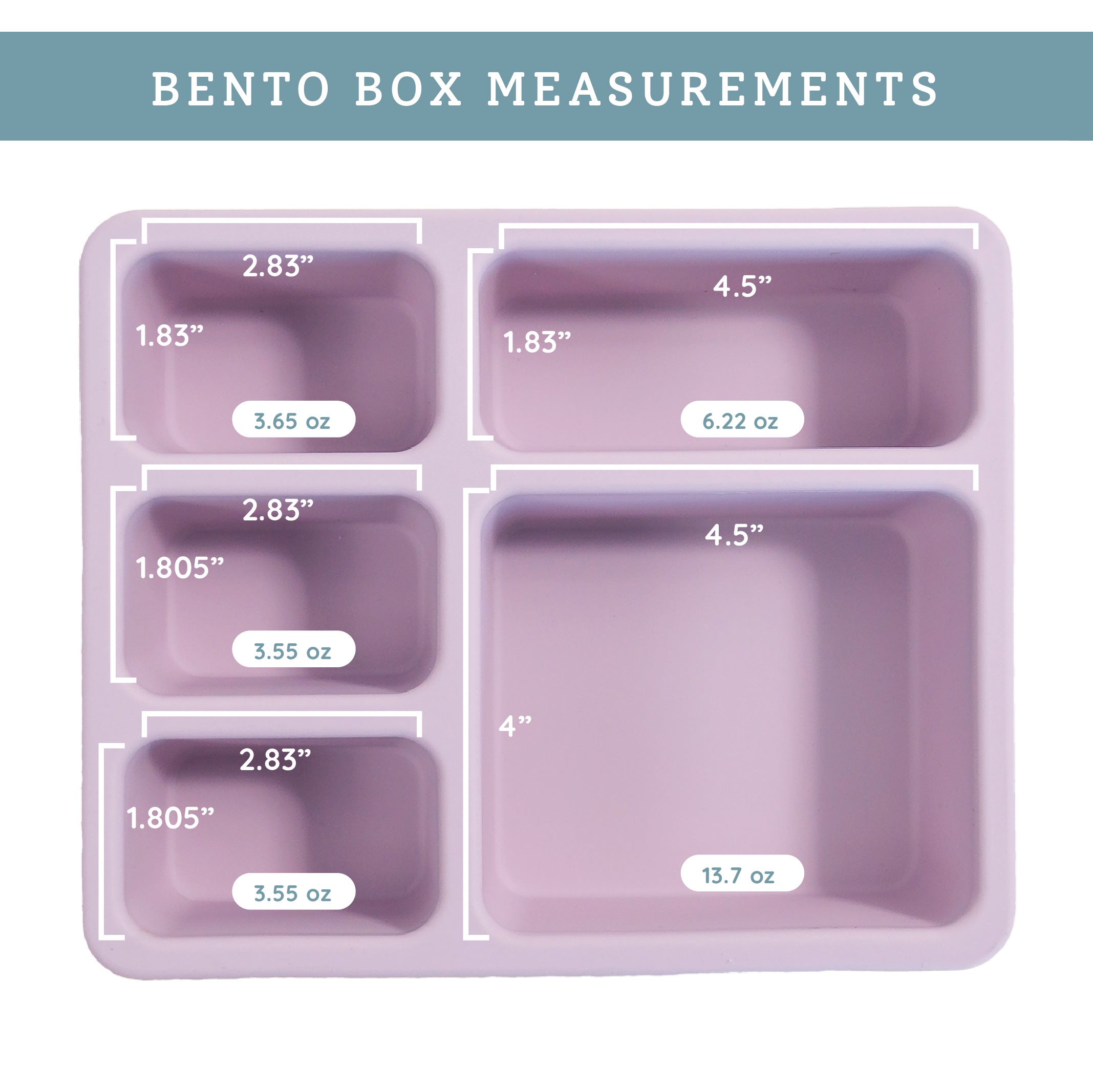 inside of violet bento lunch box with camping print