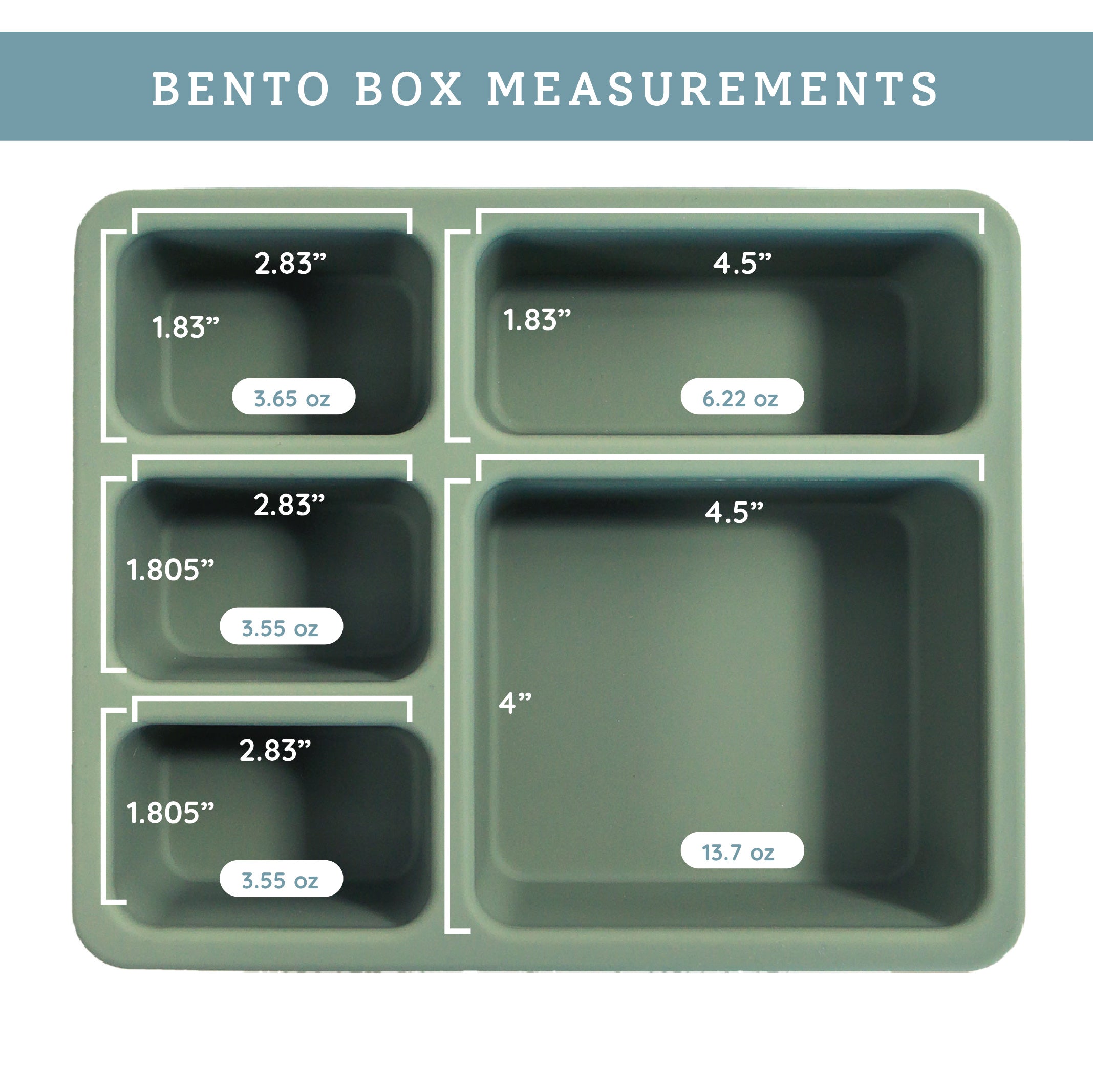 inside of green bento lunch box