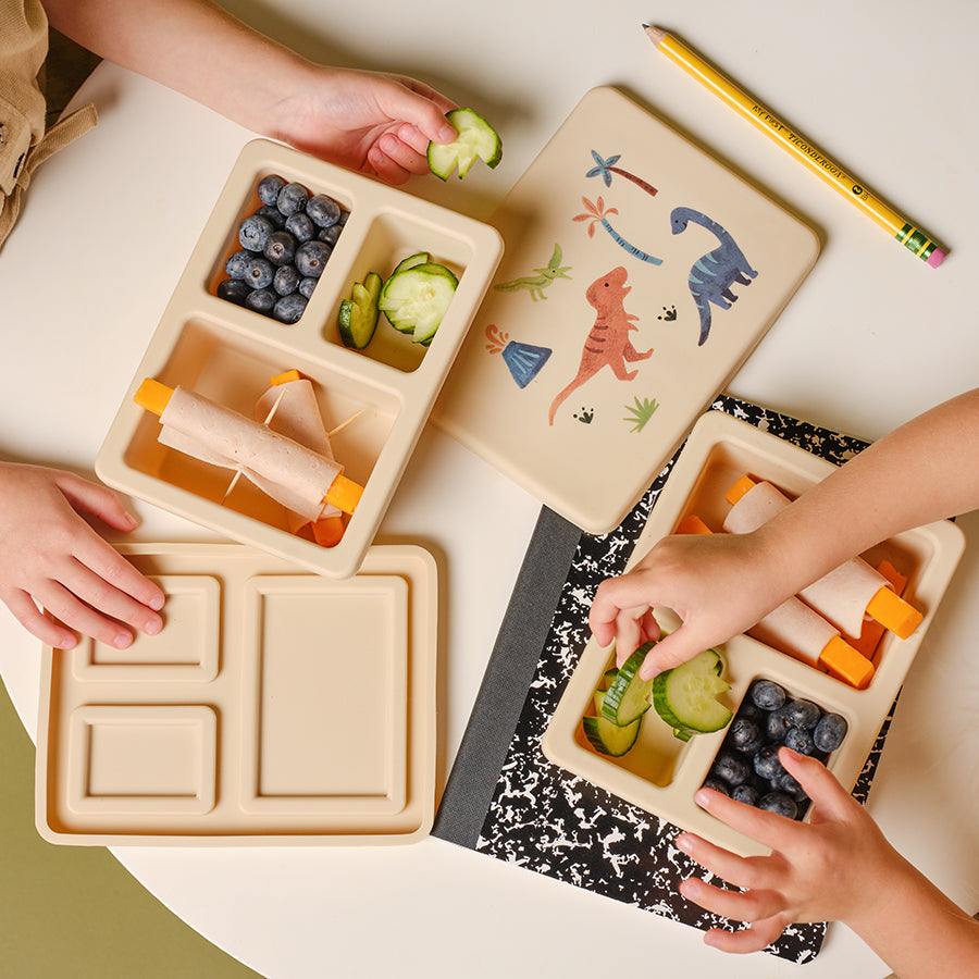 cream lunch bento box with three compartments in dinosaur print