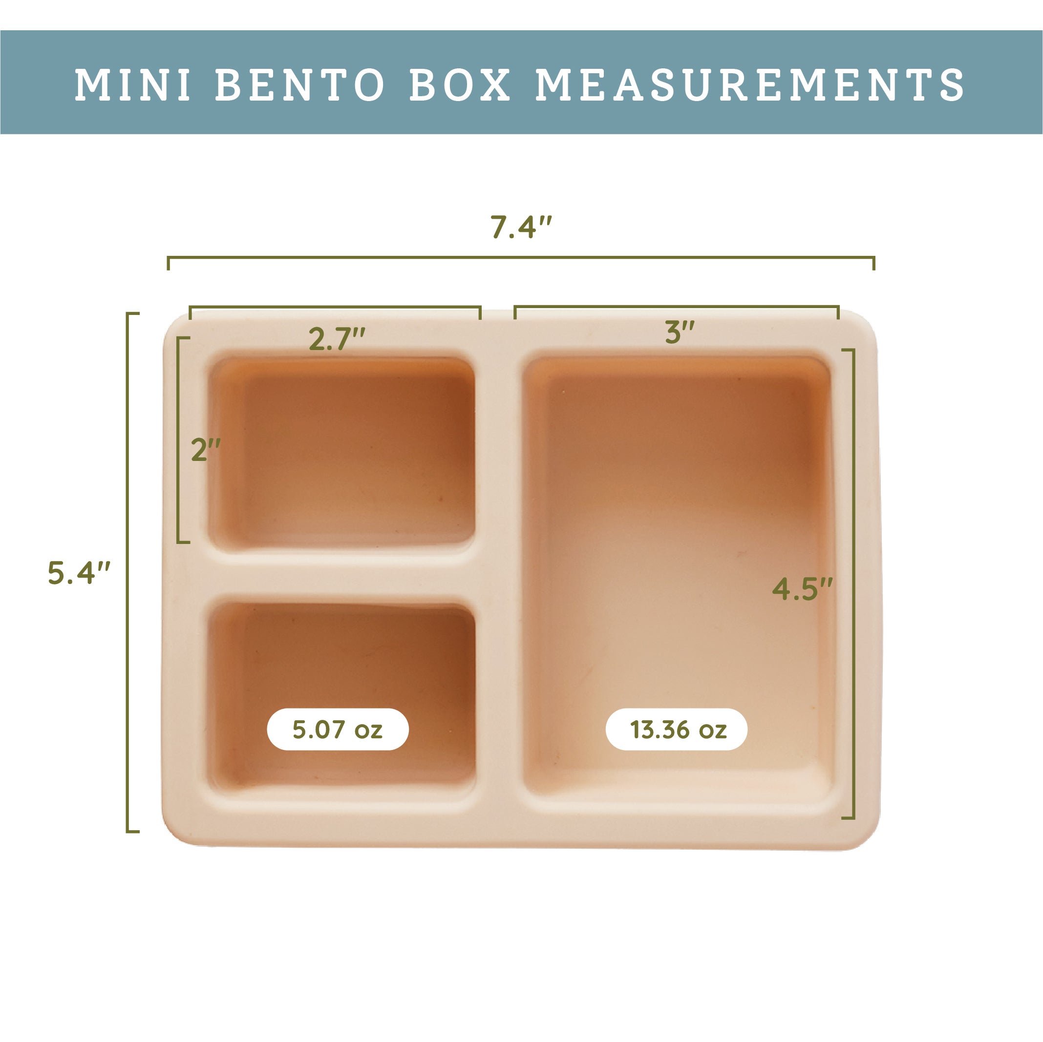 cream lunch bento box with three compartments in dinosaur print