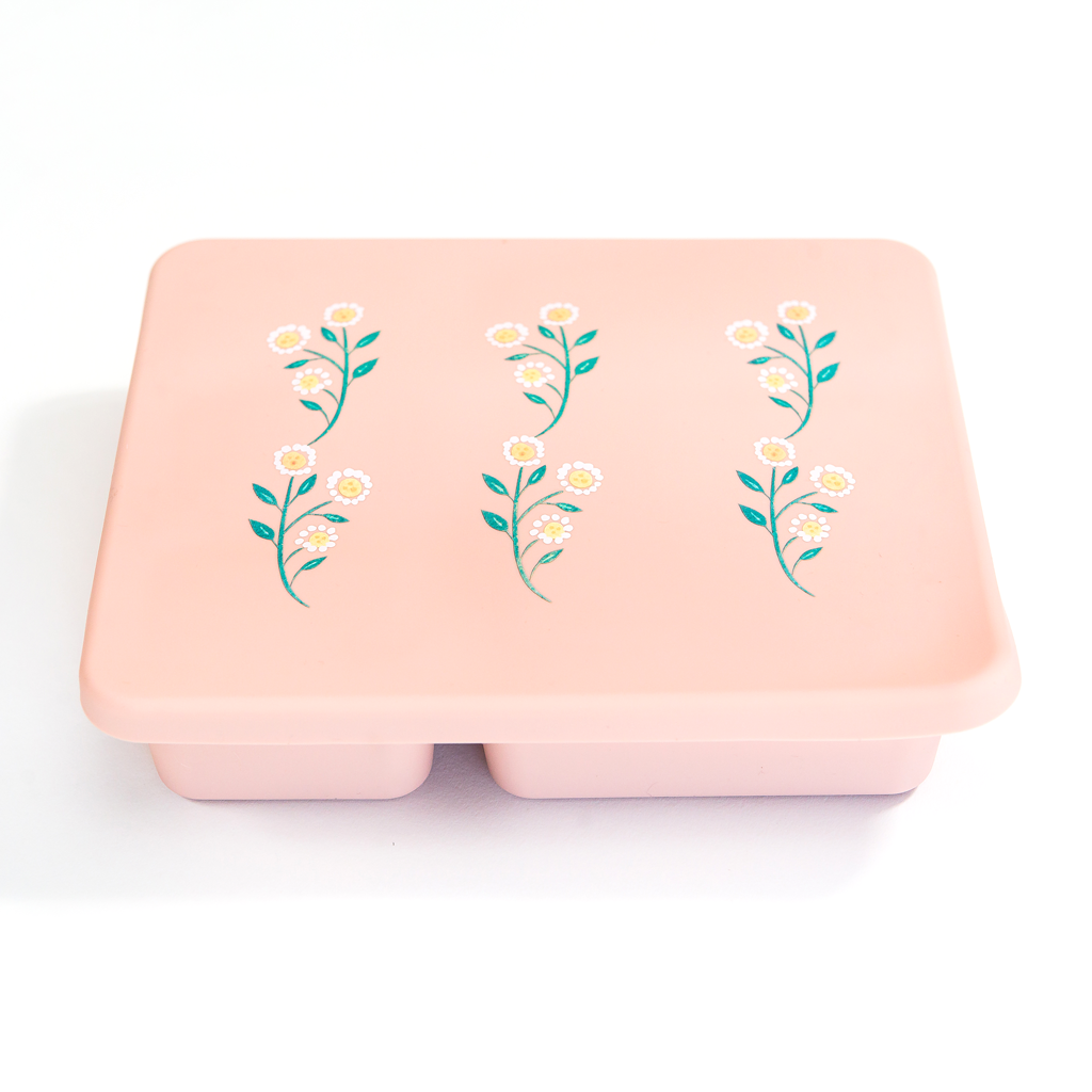 Silicone Mini Bento Boxes – Austin Baby Collection